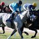 Illustration for article titled Longshots Horse Racing Tipsem/em